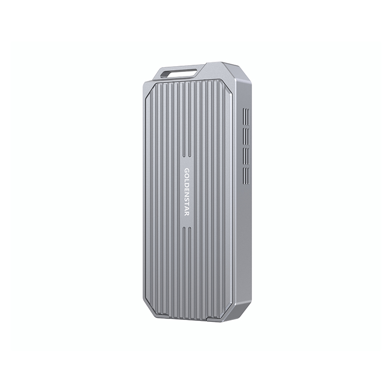 GS-SSD01_40G